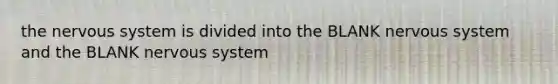the nervous system is divided into the BLANK nervous system and the BLANK nervous system
