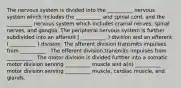 The nervous system is divided into the __________ nervous system which includes the __________ and spinal cord, and the __________ nervous system which includes cranial nerves, spinal nerves, and ganglia. The peripheral nervous system is further subdivided into an afferent ( __________ ) division and an efferent ( __________ ) division. The afferent division transmits impulses from __________ . The efferent division transmits impulses from __________ . The motor division is divided further into a somatic motor division serving __________ muscle and a(n) __________ motor division serving __________ muscle, cardiac muscle, and glands.