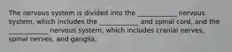 The nervous system is divided into the ____________ nervous system, which includes the ____________ and spinal cord, and the ____________ nervous system, which includes cranial nerves, spinal nerves, and ganglia.