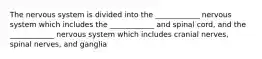 The nervous system is divided into the ____________ nervous system which includes the ____________ and spinal cord, and the ____________ nervous system which includes cranial nerves, spinal nerves, and ganglia