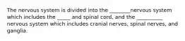 The nervous system is divided into the ________nervous system which includes the _____ and spinal cord, and the __________ nervous system which includes cranial nerves, spinal nerves, and ganglia.