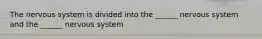 The nervous system is divided into the ______ nervous system and the ______ nervous system