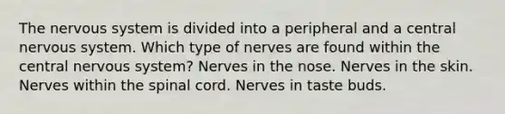 The <a href='https://www.questionai.com/knowledge/kThdVqrsqy-nervous-system' class='anchor-knowledge'>nervous system</a> is divided into a peripheral and a central nervous system. Which type of nerves are found within the central nervous system? Nerves in the nose. Nerves in the skin. Nerves within <a href='https://www.questionai.com/knowledge/kkAfzcJHuZ-the-spinal-cord' class='anchor-knowledge'>the spinal cord</a>. Nerves in taste buds.