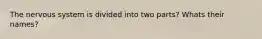 The nervous system is divided into two parts? Whats their names?
