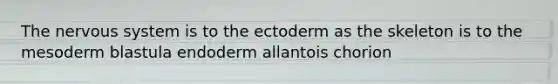 The nervous system is to the ectoderm as the skeleton is to the mesoderm blastula endoderm allantois chorion