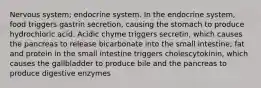 Nervous system; endocrine system. In the endocrine system, food triggers gastrin secretion, causing the stomach to produce hydrochloric acid. Acidic chyme triggers secretin, which causes the pancreas to release bicarbonate into the small intestine; fat and protein in the small intestine triggers cholescytokinin, which causes the gallbladder to produce bile and the pancreas to produce digestive enzymes