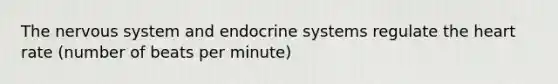 The <a href='https://www.questionai.com/knowledge/kThdVqrsqy-nervous-system' class='anchor-knowledge'>nervous system</a> and endocrine systems regulate <a href='https://www.questionai.com/knowledge/kya8ocqc6o-the-heart' class='anchor-knowledge'>the heart</a> rate (number of beats per minute)