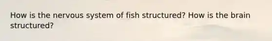 How is the nervous system of fish structured? How is the brain structured?