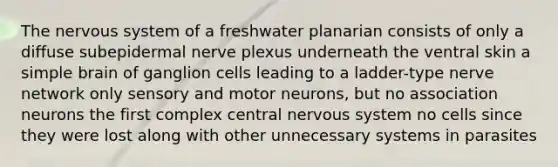 The nervous system of a freshwater planarian consists of only a diffuse subepidermal nerve plexus underneath the ventral skin a simple brain of ganglion cells leading to a ladder-type nerve network only sensory and motor neurons, but no association neurons the first complex central nervous system no cells since they were lost along with other unnecessary systems in parasites