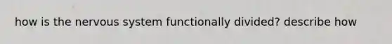 how is the nervous system functionally divided? describe how