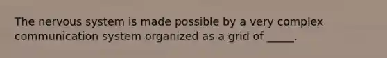 The nervous system is made possible by a very complex communication system organized as a grid of _____.