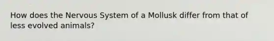 How does the Nervous System of a Mollusk differ from that of less evolved animals?
