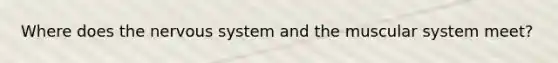 Where does the nervous system and the muscular system meet?