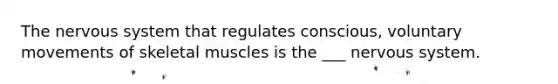 The <a href='https://www.questionai.com/knowledge/kThdVqrsqy-nervous-system' class='anchor-knowledge'>nervous system</a> that regulates conscious, voluntary movements of skeletal muscles is the ___ nervous system.