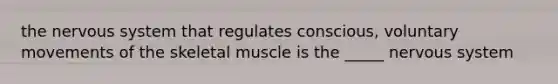 the nervous system that regulates conscious, voluntary movements of the skeletal muscle is the _____ nervous system