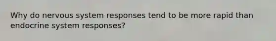 Why do nervous system responses tend to be more rapid than endocrine system responses?