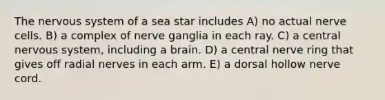 The nervous system of a sea star includes A) no actual nerve cells. B) a complex of nerve ganglia in each ray. C) a central nervous system, including a brain. D) a central nerve ring that gives off radial nerves in each arm. E) a dorsal hollow nerve cord.