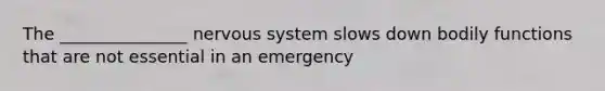 The _______________ nervous system slows down bodily functions that are not essential in an emergency