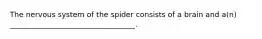 The nervous system of the spider consists of a brain and a(n) __________________________________.