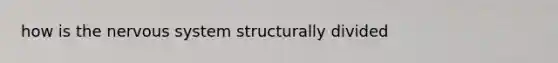 how is the nervous system structurally divided