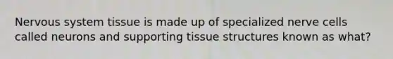 <a href='https://www.questionai.com/knowledge/kThdVqrsqy-nervous-system' class='anchor-knowledge'>nervous system</a> tissue is made up of specialized nerve cells called neurons and supporting tissue structures known as what?