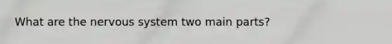What are the nervous system two main parts?