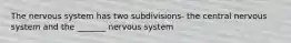 The nervous system has two subdivisions- the central nervous system and the _______ nervous system