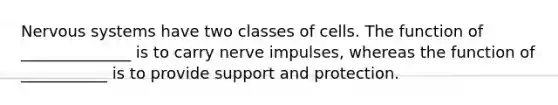 Nervous systems have two classes of cells. The function of ______________ is to carry nerve impulses, whereas the function of ___________ is to provide support and protection.