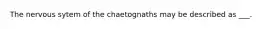 The nervous sytem of the chaetognaths may be described as ___.