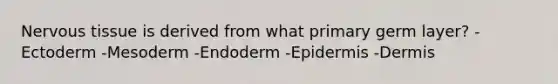 Nervous tissue is derived from what primary germ layer? -Ectoderm -Mesoderm -Endoderm -Epidermis -Dermis