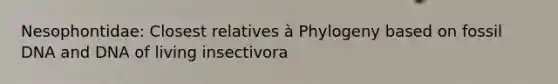 Nesophontidae: Closest relatives à Phylogeny based on fossil DNA and DNA of living insectivora