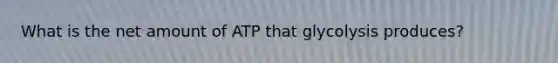 What is the net amount of ATP that glycolysis produces?