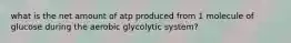 what is the net amount of atp produced from 1 molecule of glucose during the aerobic glycolytic system?