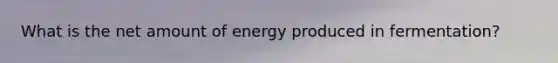 What is the net amount of energy produced in fermentation?