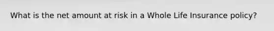 What is the net amount at risk in a Whole Life Insurance policy?