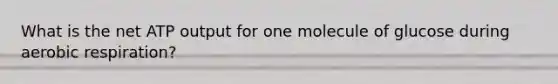 What is the net ATP output for one molecule of glucose during aerobic respiration?