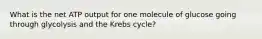 What is the net ATP output for one molecule of glucose going through glycolysis and the Krebs cycle?