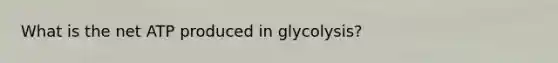 What is the net ATP produced in glycolysis?