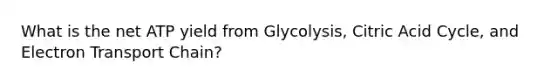 What is the net ATP yield from Glycolysis, Citric Acid Cycle, and Electron Transport Chain?