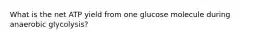 What is the net ATP yield from one glucose molecule during anaerobic glycolysis?