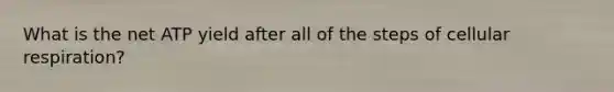 What is the net ATP yield after all of the steps of cellular respiration?