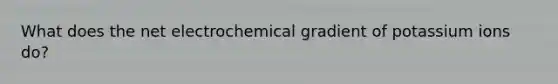 What does the net electrochemical gradient of potassium ions do?