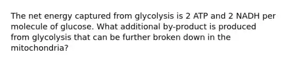 The net energy captured from glycolysis is 2 ATP and 2 NADH per molecule of glucose. What additional by-product is produced from glycolysis that can be further broken down in the mitochondria?