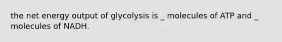 the net energy output of glycolysis is _ molecules of ATP and _ molecules of NADH.