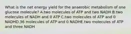 What is the net energy yield for the anaerobic metabolism of one glucose molecule? A.two molecules of ATP and two NADH B.two molecules of NADH and 0 ATP C.two molecules of ATP and 0 NADHD.36 molecules of ATP and 0 NADHE.two molecules of ATP and three NADH