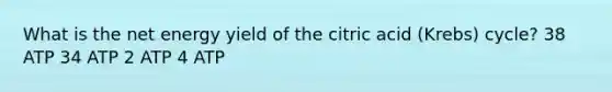 What is the net energy yield of the citric acid (Krebs) cycle? 38 ATP 34 ATP 2 ATP 4 ATP