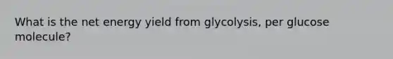 What is the net energy yield from glycolysis, per glucose molecule?