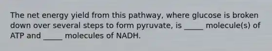 The net energy yield from this pathway, where glucose is broken down over several steps to form pyruvate, is _____ molecule(s) of ATP and _____ molecules of NADH.