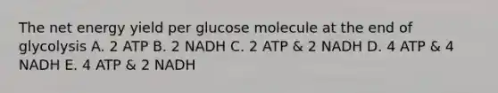 The net energy yield per glucose molecule at the end of glycolysis A. 2 ATP B. 2 NADH C. 2 ATP & 2 NADH D. 4 ATP & 4 NADH E. 4 ATP & 2 NADH