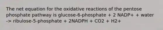 The net equation for the oxidative reactions of <a href='https://www.questionai.com/knowledge/kU2OmaBWIM-the-pentose-phosphate-pathway' class='anchor-knowledge'>the pentose phosphate pathway</a> is glucose-6-phosphate + 2 NADP+ + water -> ribulose-5-phosphate + 2NADPH + CO2 + H2+